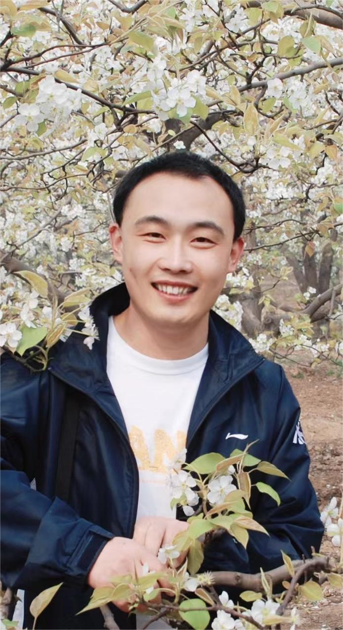 职称结构合理