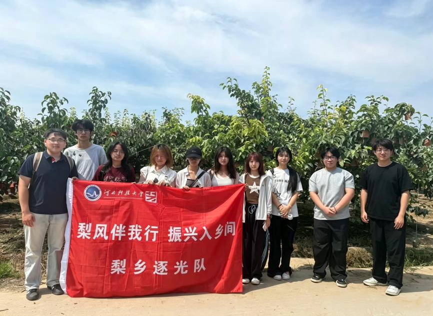 八达国际官方官网玩法说明