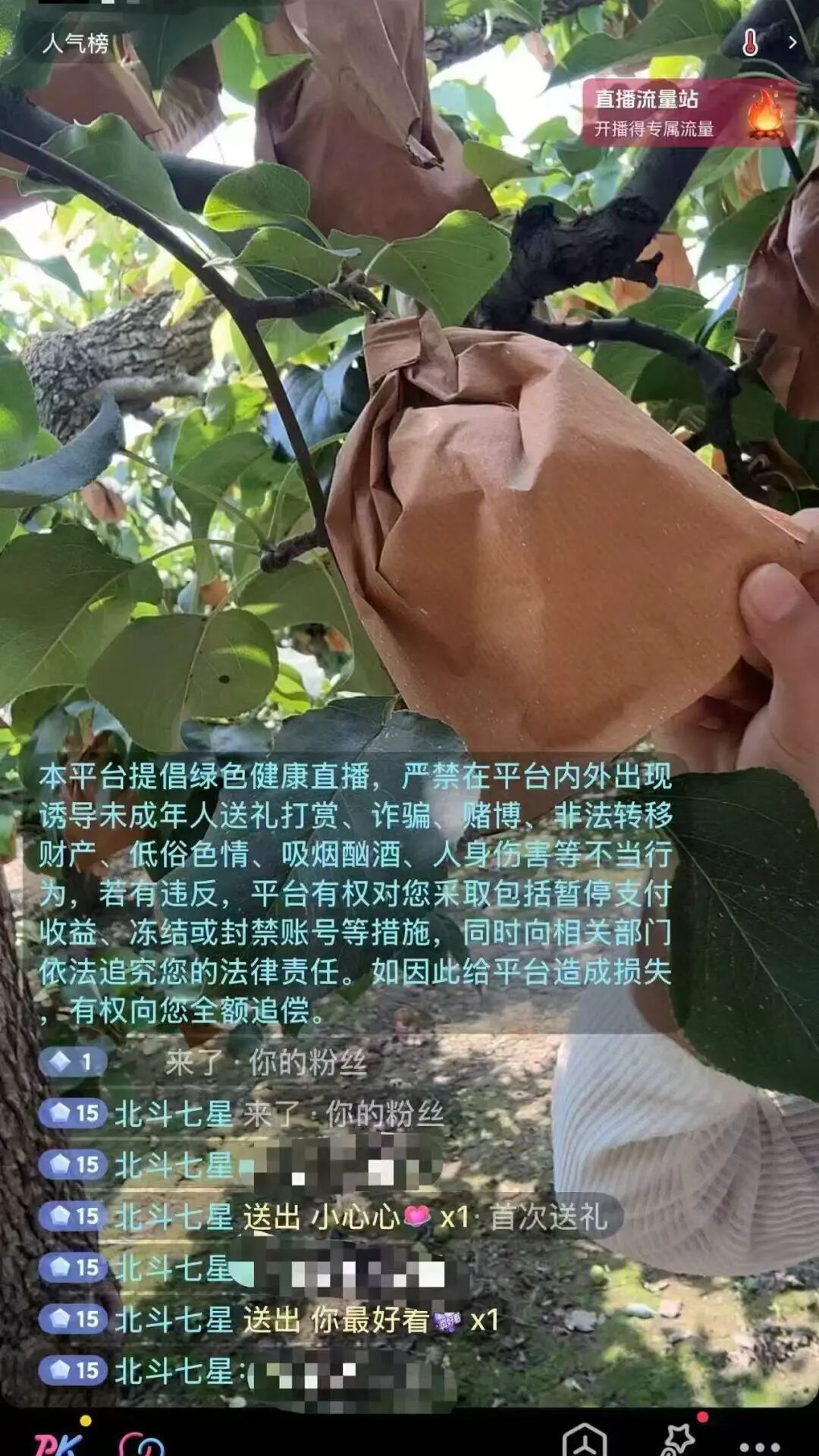 八达国际官方